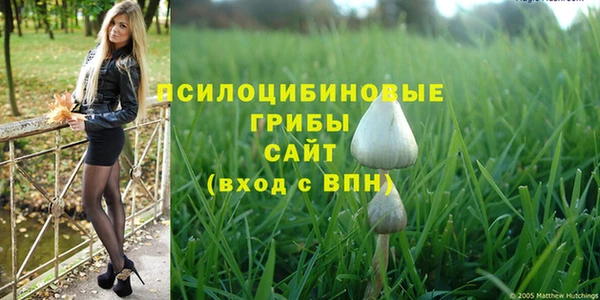 тгк Баксан