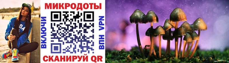 Галлюциногенные грибы Psilocybine cubensis  Мценск 